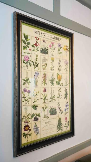 *Stunning* The Botanist Rest Ventnor Iow别墅 外观 照片