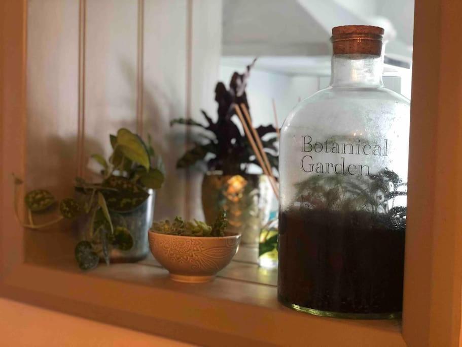 *Stunning* The Botanist Rest Ventnor Iow别墅 外观 照片