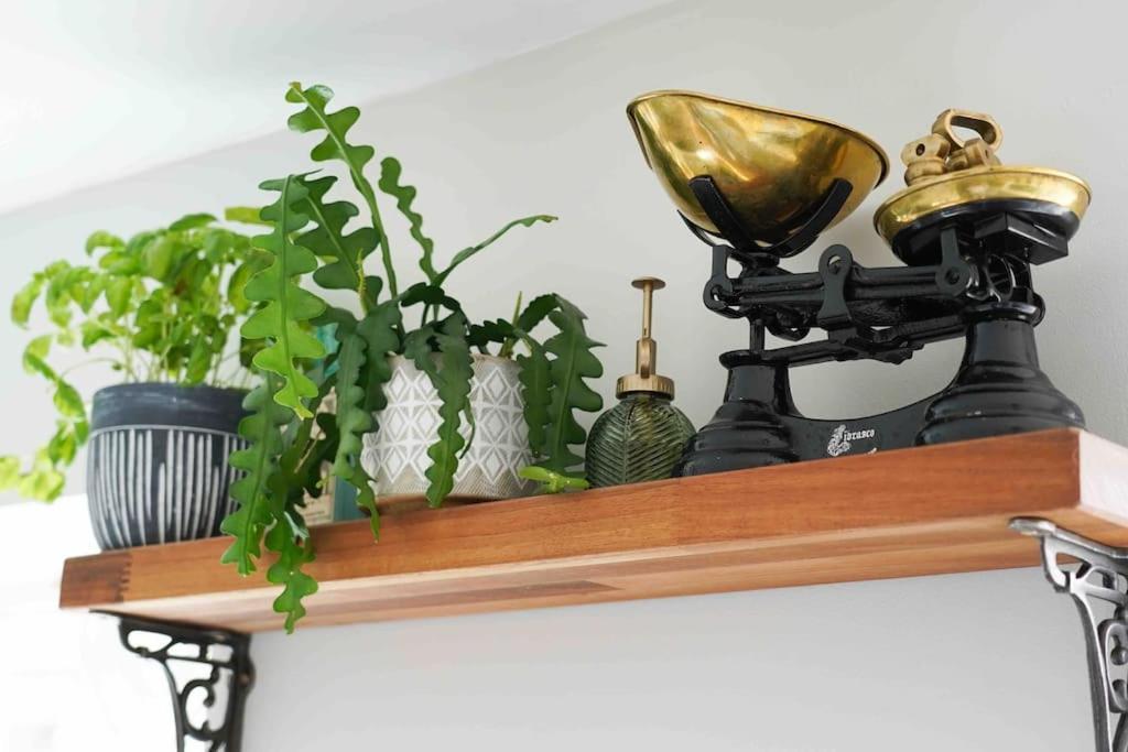 *Stunning* The Botanist Rest Ventnor Iow别墅 外观 照片